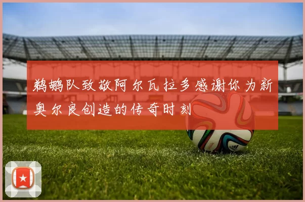 鹈鹕队致敬阿尔瓦拉多感谢你为新奥尔良创造的传奇时刻